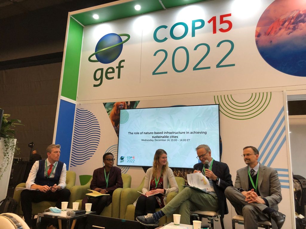 Panellists during COP 15 NBI side event