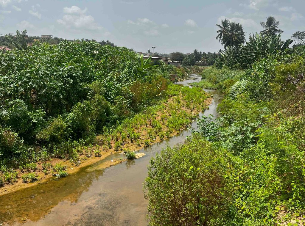 Nature Based Infrastructure Global Resource Centre Wetlands