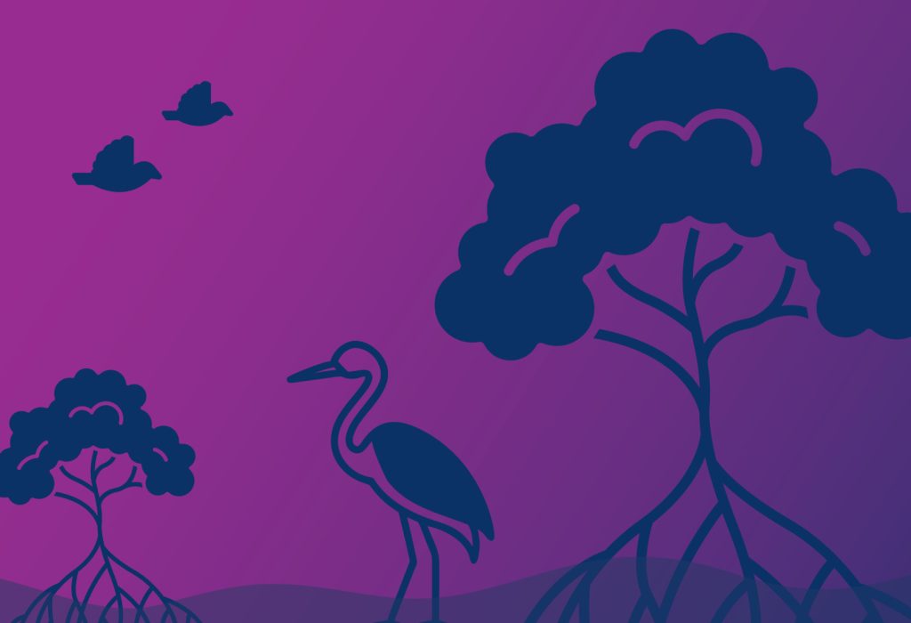 nbi-academy-web-banner-V2