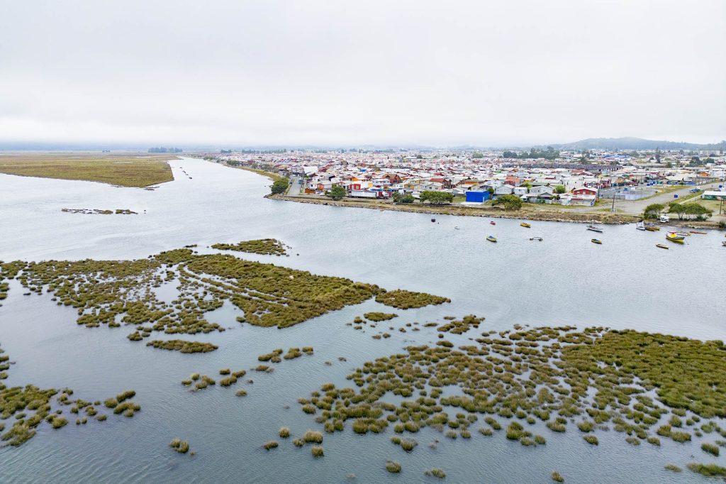 Wetlands in Rocuant–Andalién with residental area in the background.